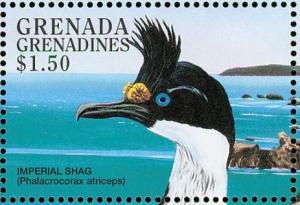 Colnect-4213-477-Imperial-Shag---Leucocarbo-atriceps.jpg