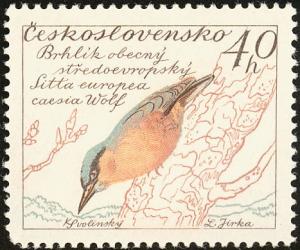 Colnect-4732-215-Southern-Nuthatch-Sitta-europaea-caesia.jpg