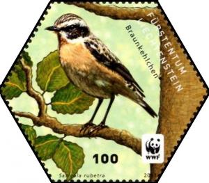 Colnect-5261-337-Whinchat-Saxicola-rubetra.jpg