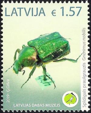 Colnect-5714-847-Noble-Chafer-Gnorimus-nobilis.jpg