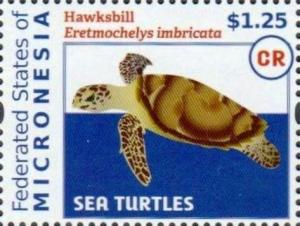 Colnect-5782-104-Hawksbill-turtle.jpg