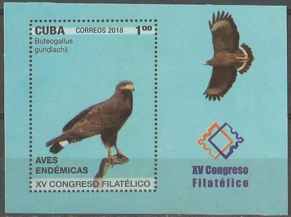 Colnect-5448-255-Cuban-Black-Hawk-Buteogallus-gundlachii.jpg