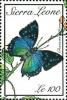 Colnect-4243-241-Charaxes-cithaeron.jpg