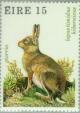 Colnect-128-604-Irish-Mountain-Hare-Lepus-timidus-hibernicus.jpg