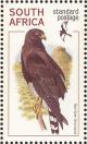 Colnect-1759-615-Black-Harrier-Circus-maurus.jpg