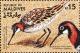 Colnect-2562-863-Red-necked-Phalarope-Phalaropus-lobatus.jpg