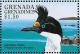 Colnect-4213-477-Imperial-Shag---Leucocarbo-atriceps.jpg