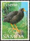 Colnect-1766-829-Samoan-Moorhen-Pareudiastes-pacificus.jpg