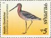 Colnect-2859-106-Asian-Dowitcher-Limnodromus-semipalmatus.jpg