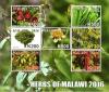 Colnect-4513-722-Herbs-of-Malawi.jpg