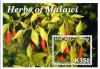 Colnect-4513-723-Herbs-of-Malawi.jpg