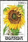 Colnect-6296-157-Helianthus-annus.jpg