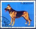 Colnect-2321-619-German-Shepherd-Canis-lupus-familiaris.jpg