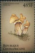 Colnect-2996-935-Helvella-crispa.jpg