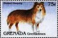 Colnect-4373-683-Shetland-sheepdog.jpg