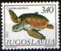 Colnect-758-950-Loggerhead-Caretta-caretta.jpg