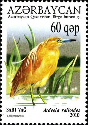 Colnect-1604-634-Squacco-Heron-Ardeola-ralloides.jpg