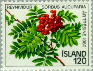 Colnect-165-224-Year-of-the-tree-Sorbus-aucuparia.jpg