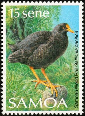 Colnect-1766-829-Samoan-Moorhen-Pareudiastes-pacificus.jpg