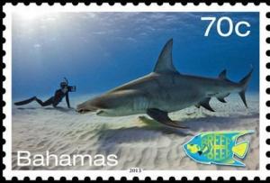 Colnect-2174-172-Great-Hammerhead-Sphyrna-mokarran-Diver.jpg