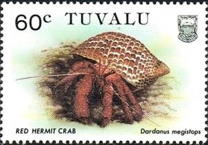 Colnect-2661-569-White-spotted-Hermit-Crab-Dardanus-megistos.jpg