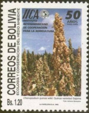 Colnect-2788-019-Chenopodium-quinoa.jpg