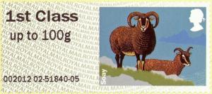 Colnect-3189-543-Soay-Sheep-Ovis-ammon-aries.jpg