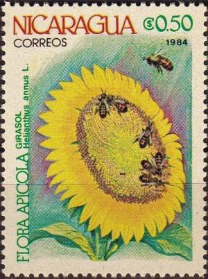 Colnect-4000-916-Helianthus-annus.jpg