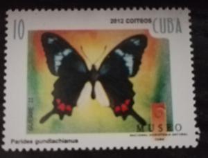 Colnect-4089-723-Cuban-Cattleheart-Parides-gundlachianus.jpg