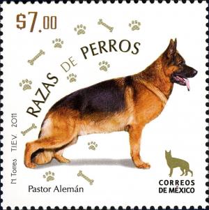 Colnect-4184-753-German-Shepherd-Canis-lupus-familiaris.jpg