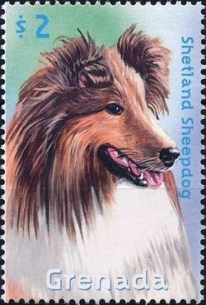 Colnect-4611-784-Shetland-Sheepdog.jpg