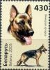 Colnect-2508-624-German-Shepherd-Canis-lupus-familiaris.jpg