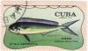 Colnect-1084-668-Common-Dolphinfish-Coryphaena-hippurus.jpg