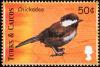 Colnect-1764-413-Black-capped-Chickadee-Poecile-atricapillus.jpg