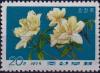 Colnect-3865-914-White-rhododendron.jpg