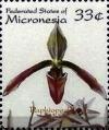 Colnect-5576-758-Paphiopedilum-dayanum.jpg