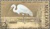 Colnect-800-288-Great-White-Egret-Ardea-alba.jpg