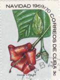 Colnect-1082-301-Hibiscus-elatus.jpg