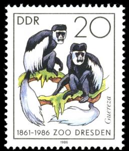 Colnect-1982-699-Abyssinian-Black-and-White-Colobus-Colobus-abyssinicus-caud.jpg