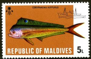 Colnect-1585-330-Common-Dolphinfish-Coryhaena-hippurus.jpg