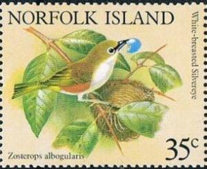 Colnect-2144-454-White-chested-White-eye-Zosterops-albogularis.jpg