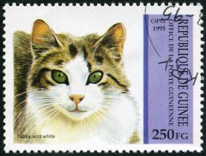 Colnect-3726-995-Tabby-and-White-Felis-silvestris-catus.jpg