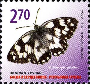 Colnect-4552-293-Marbled-White-Melanargia-galathea.jpg