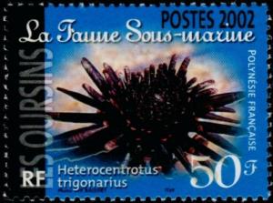 Colnect-5146-793-Slate-Pencil-Urchin-Heterocentrotus-trigonarius-.jpg