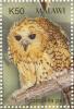 Colnect-6028-506-Pel-s-Fishing-Owl-Scotopelia-peli.jpg