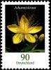 Colnect-5205-839-Hypericum-hircinum---Stinking-Tutsan.jpg