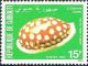 Colnect-1084-022-Sieve-Tan-and-White-Cowry-Cribraria-cribraria.jpg