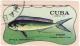 Colnect-1084-668-Common-Dolphinfish-Coryphaena-hippurus.jpg