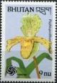 Colnect-1811-447-Paphiopedilum-insigne.jpg