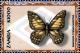 Colnect-3505-124-Graphium-cyrnus-nuscyrus.jpg